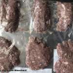 frozen home prepared dog meals