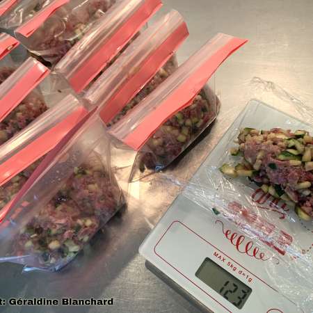 preparation of home cooked meals for a dog kitten food recipe