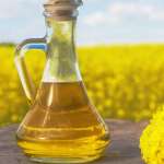 canola oil for dog recipe