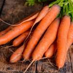 carrots for home prepared dog food