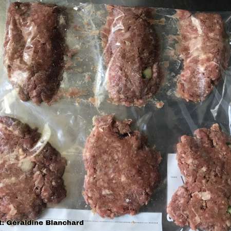 meat contioned for home cooked dog food home prepared recipe for a dog