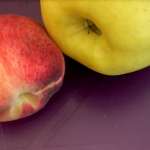 fruits in home prepared meal for a dog