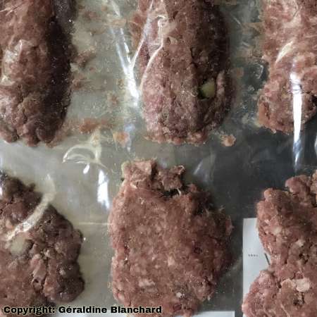 food preservation for a home prepared recipe for a dog homamde recipe for a dog