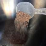 homemade cat food recipe