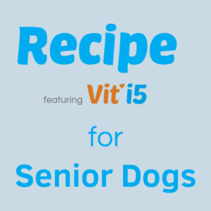 Recipes for Healthy SENIOR Dogs