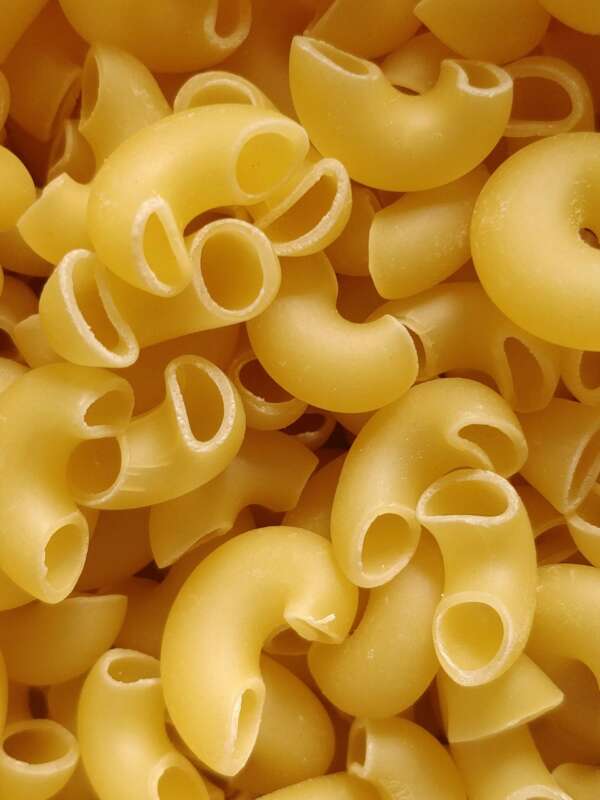 carb homemade diet