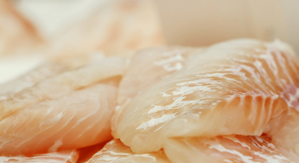 dog food diabetes white fish