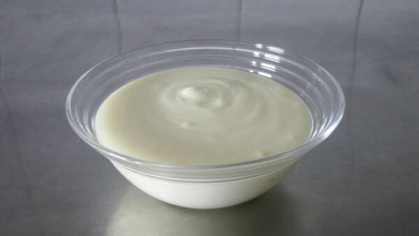 yogurt
